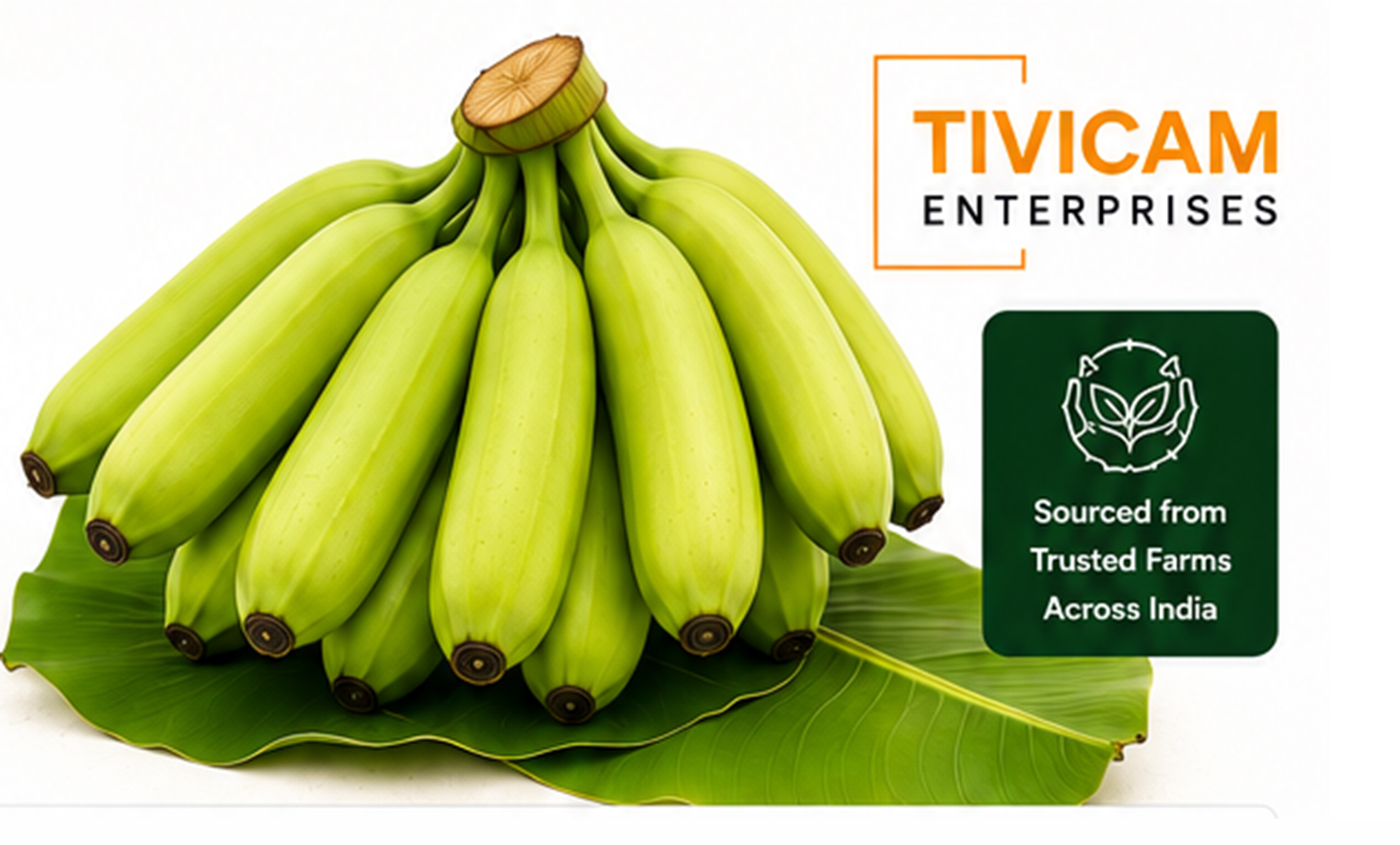 Tivicam Fresh Premium Banana Bunch Panel Image